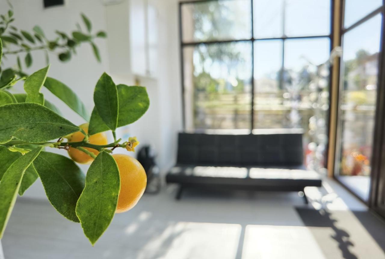 Pensiunea Prestige House Curtea De Arges Bagian luar foto
